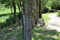 Hameau des Curniers