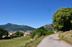 Pelleret