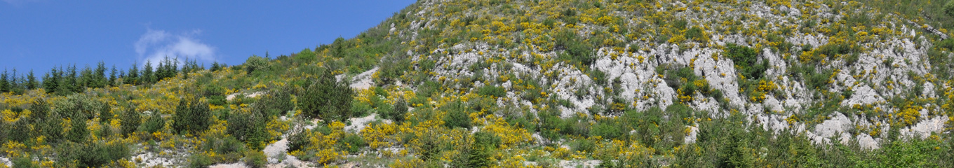 La vallée du Toulourenc