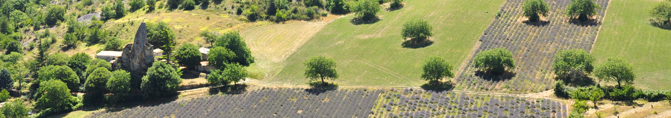 La vallée du Toulourenc
