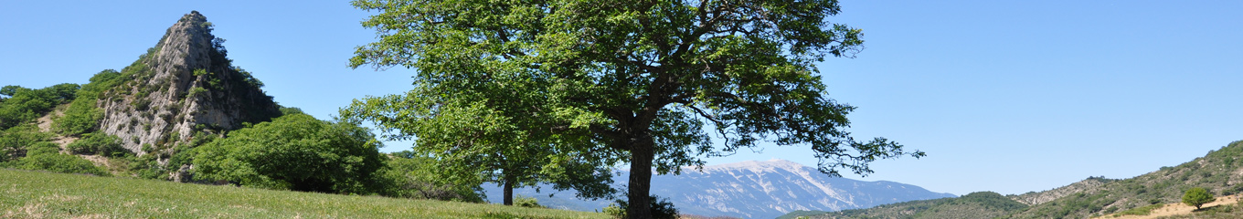 La vallée du Toulourenc