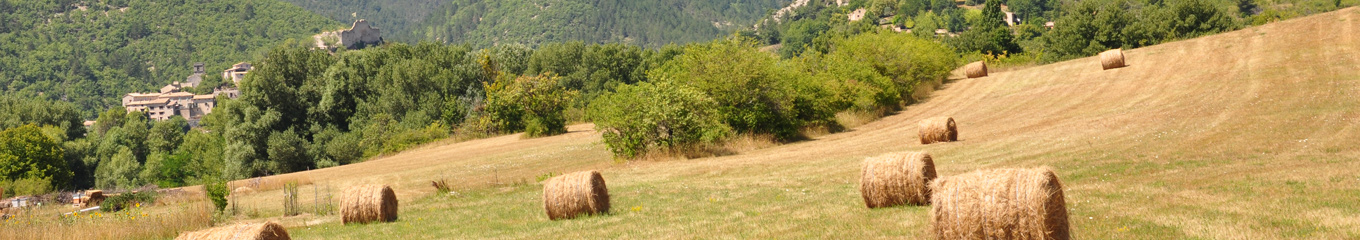 La vallée du Toulourenc