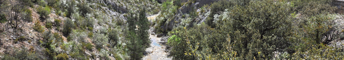 La vallée du Toulourenc